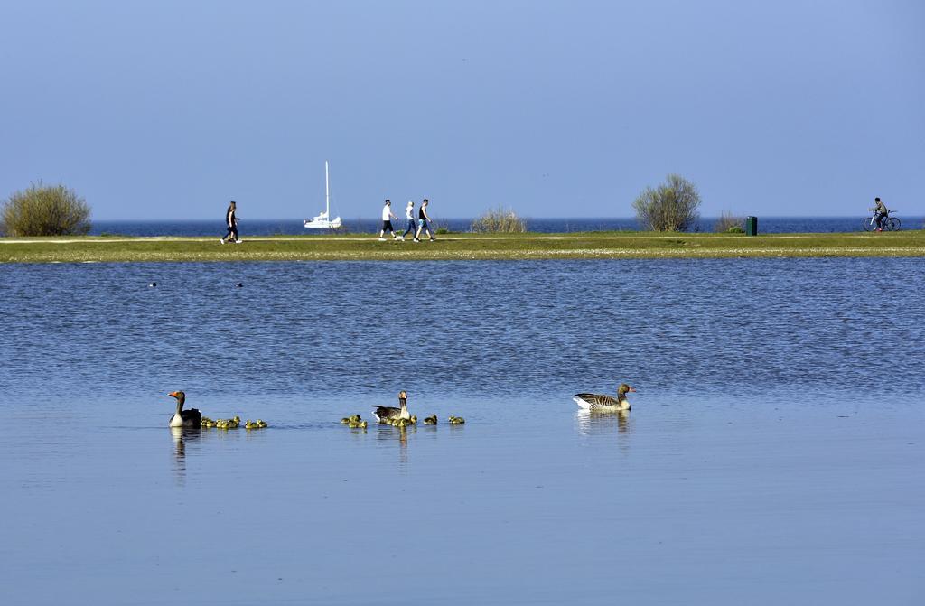 Ijsselhof Villa Type Medemblik 6 Andijk Esterno foto